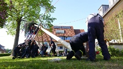 Starke Männer und volle Konzentration beim aufstellen des Maibaums